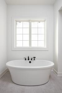 Freestanding Tub. Westfield, IN New Home